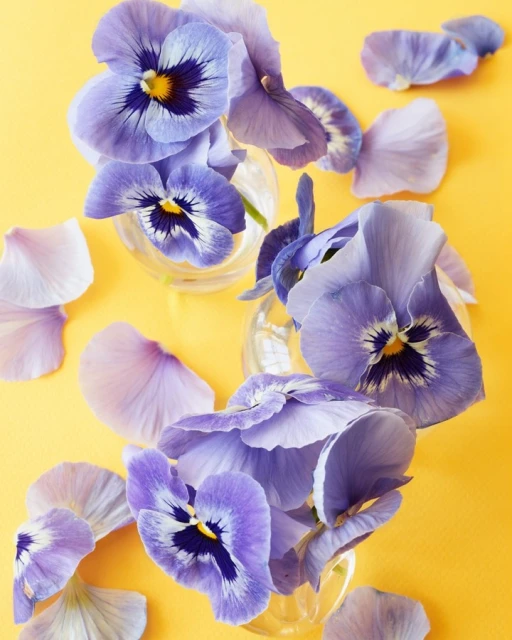 Candace Gelman & Associates