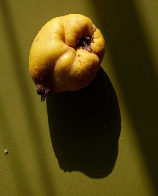 Candace Gelman & Associates