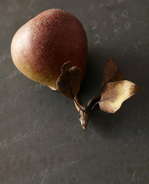 Candace Gelman & Associates