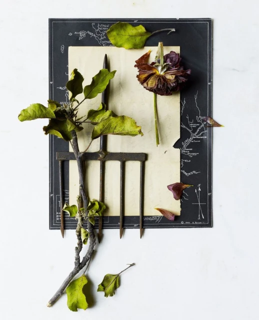 Candace Gelman & Associates