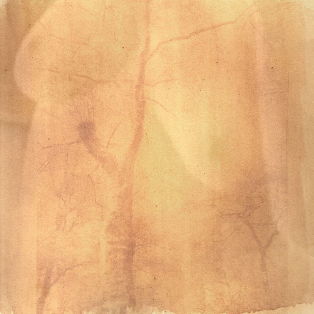 Candace Gelman & Associates