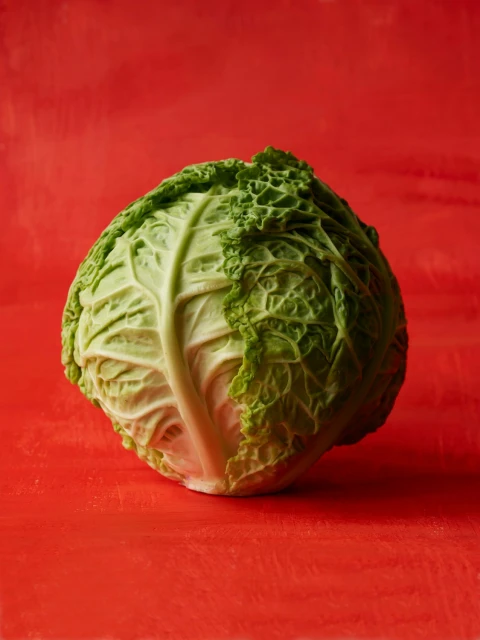 Candace Gelman & Associates