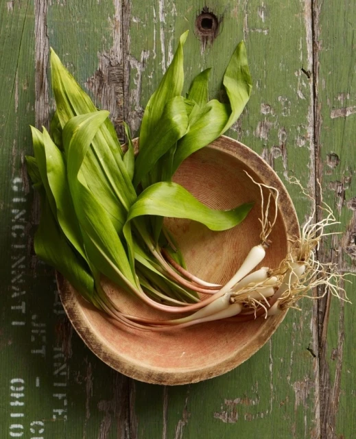 Candace Gelman & Associates