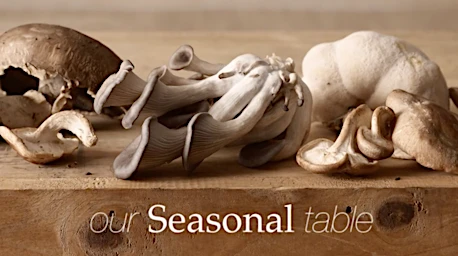 Candace Gelman & Associates