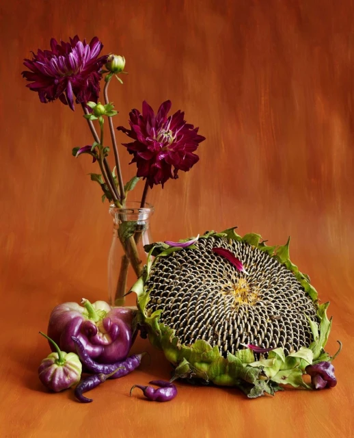 Candace Gelman & Associates