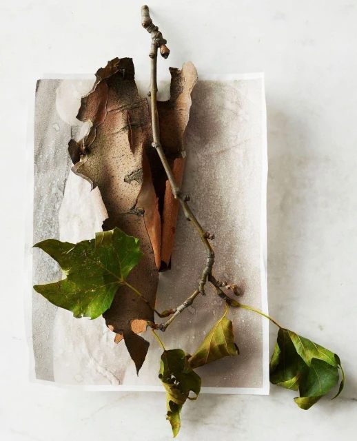 Candace Gelman & Associates