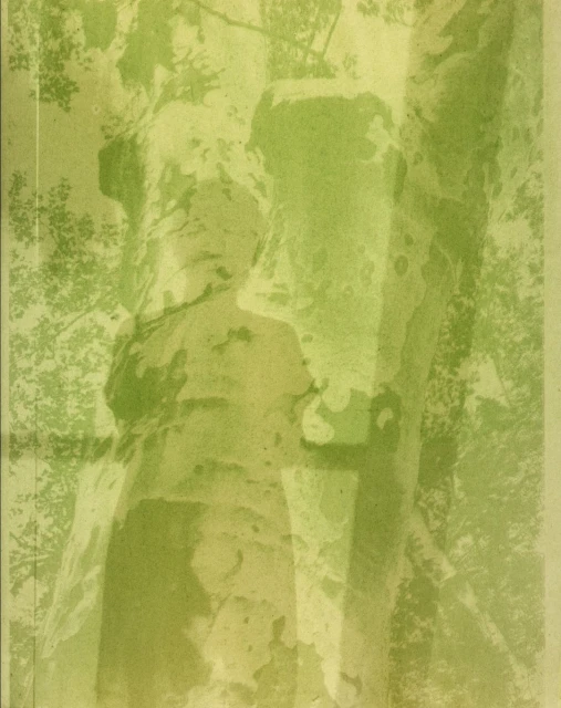 Candace Gelman & Associates