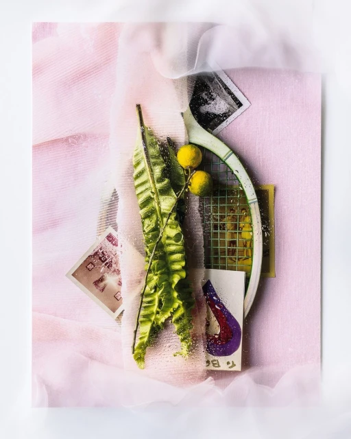 Candace Gelman & Associates