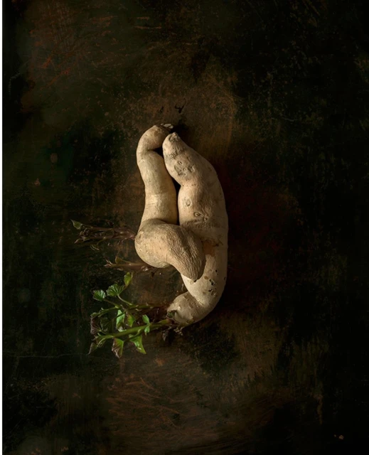 Candace Gelman & Associates