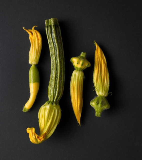 Candace Gelman & Associates