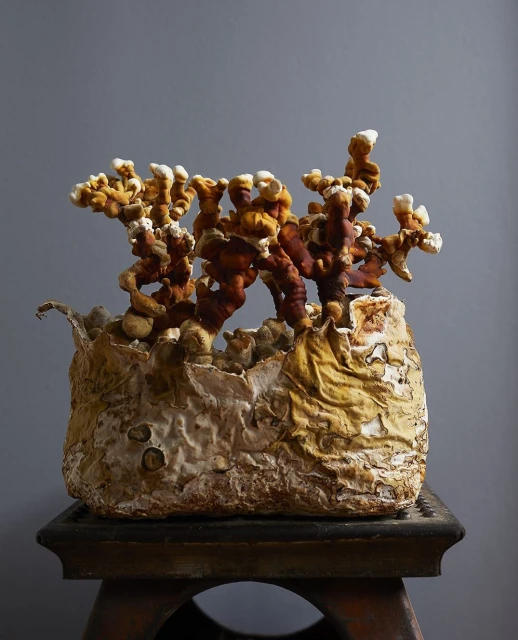 Candace Gelman & Associates