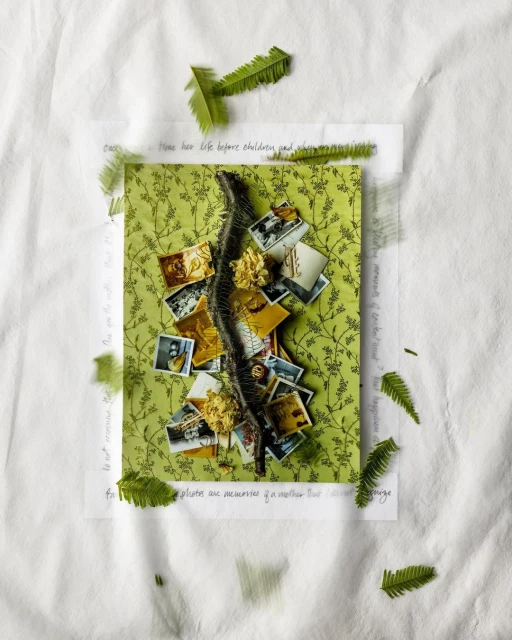 Candace Gelman & Associates