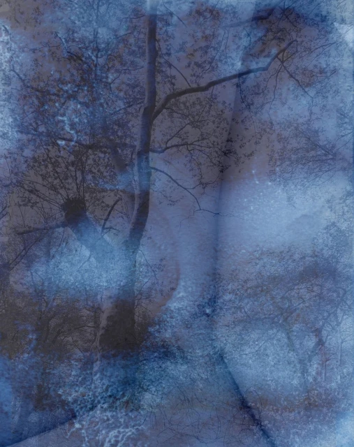 Candace Gelman & Associates