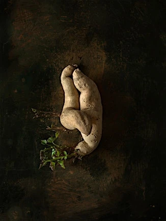 Candace Gelman & Associates