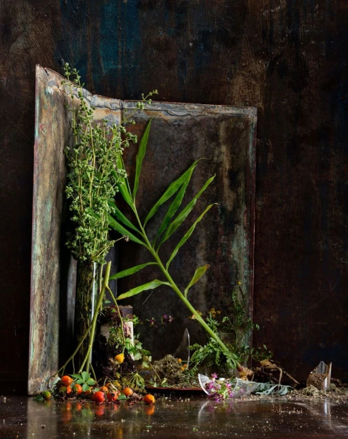 Candace Gelman & Associates