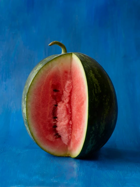 Candace Gelman & Associates