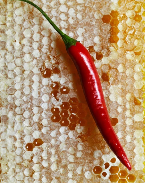 Candace Gelman & Associates