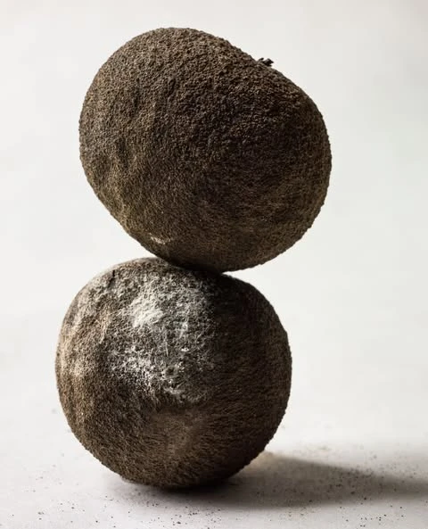 Candace Gelman & Associates