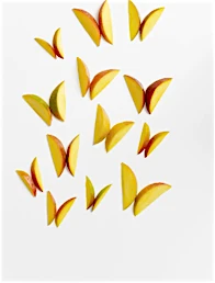 Candace Gelman & Associates