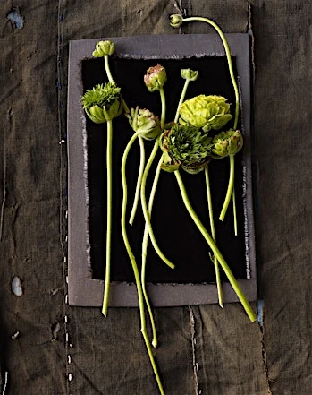 Candace Gelman & Associates