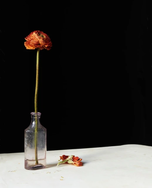 Candace Gelman & Associates