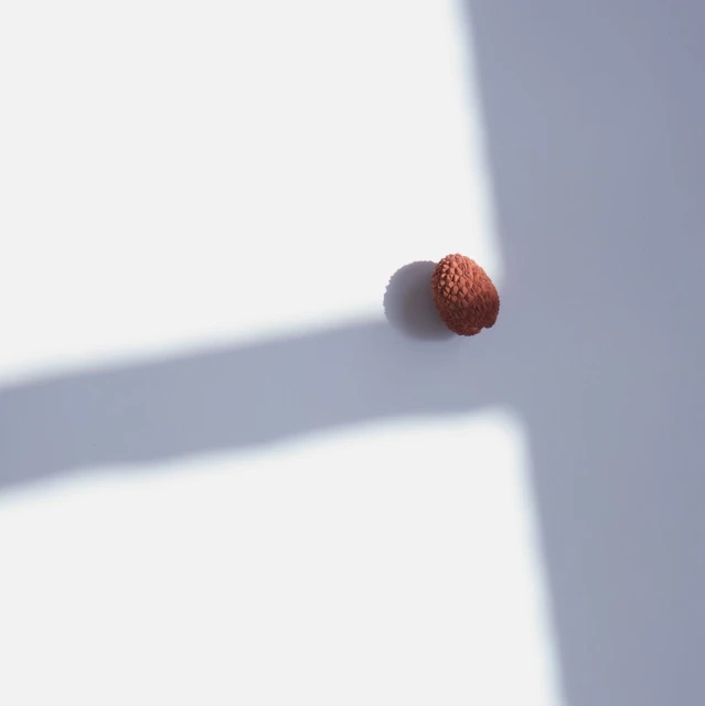 Candace Gelman & Associates