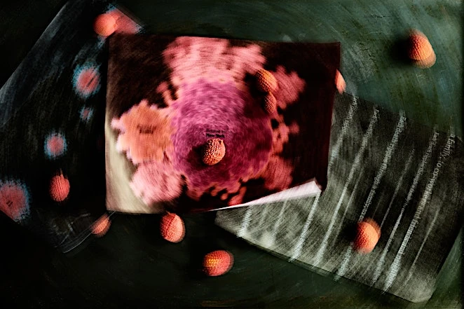 Candace Gelman & Associates