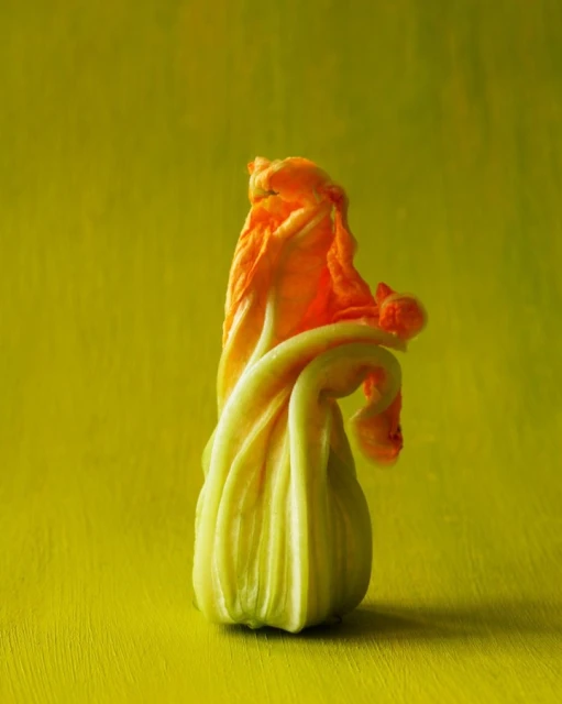 Candace Gelman & Associates