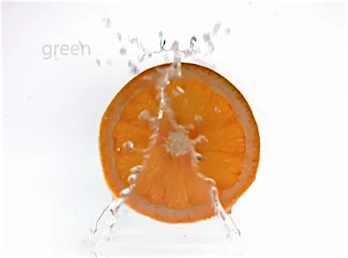 Candace Gelman & Associates