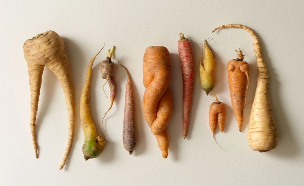 Candace Gelman & Associates