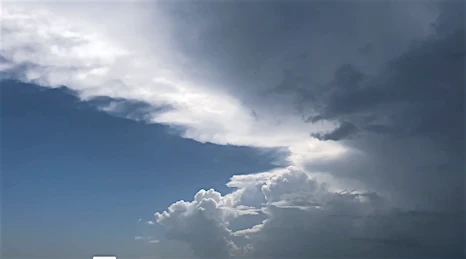 Candace Gelman & Associates