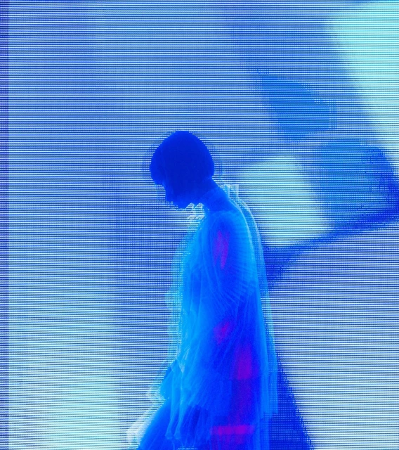 Candace Gelman & Associates