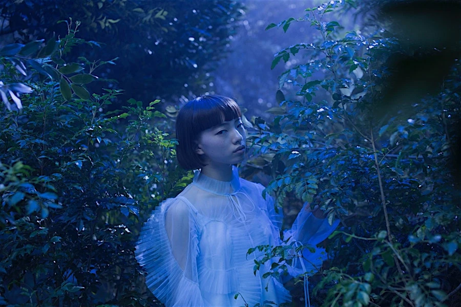 Candace Gelman & Associates