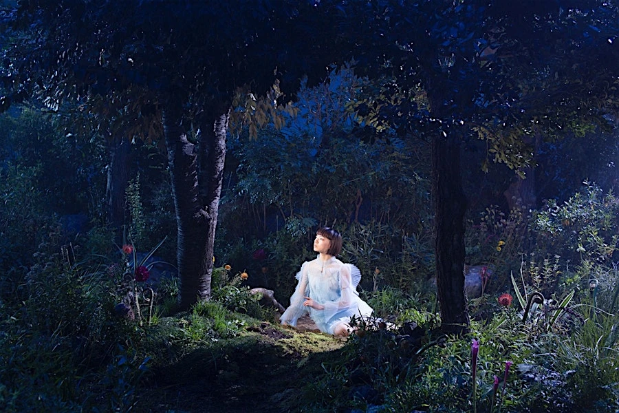 Candace Gelman & Associates