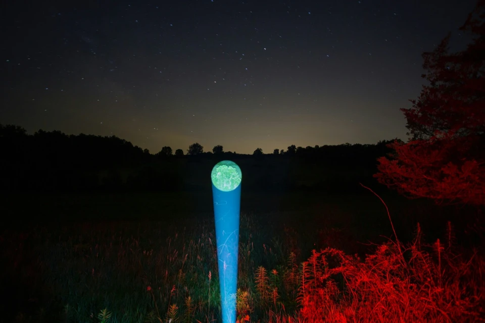 Candace Gelman & Associates