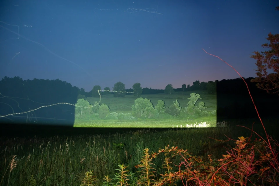 Candace Gelman & Associates