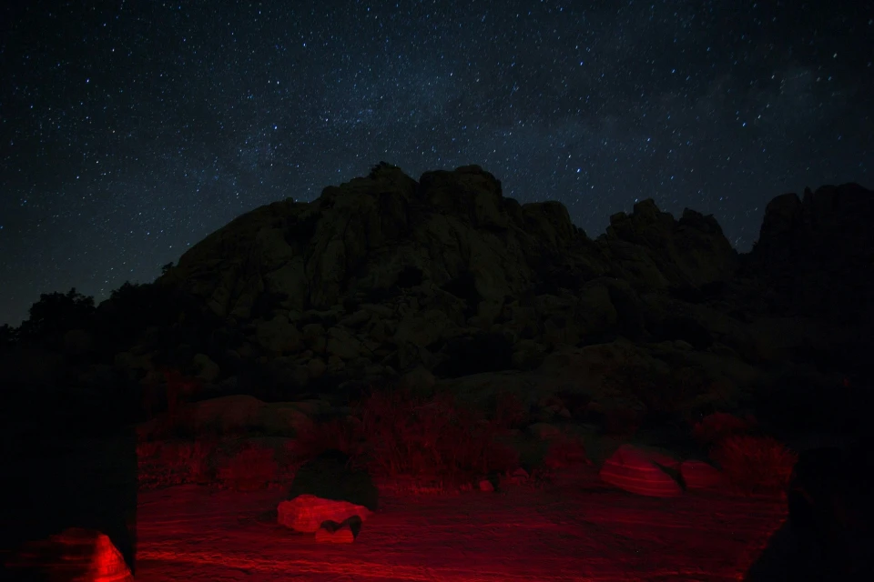 Candace Gelman & Associates