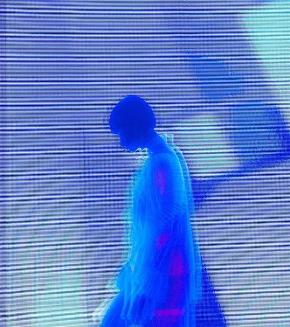 Candace Gelman & Associates