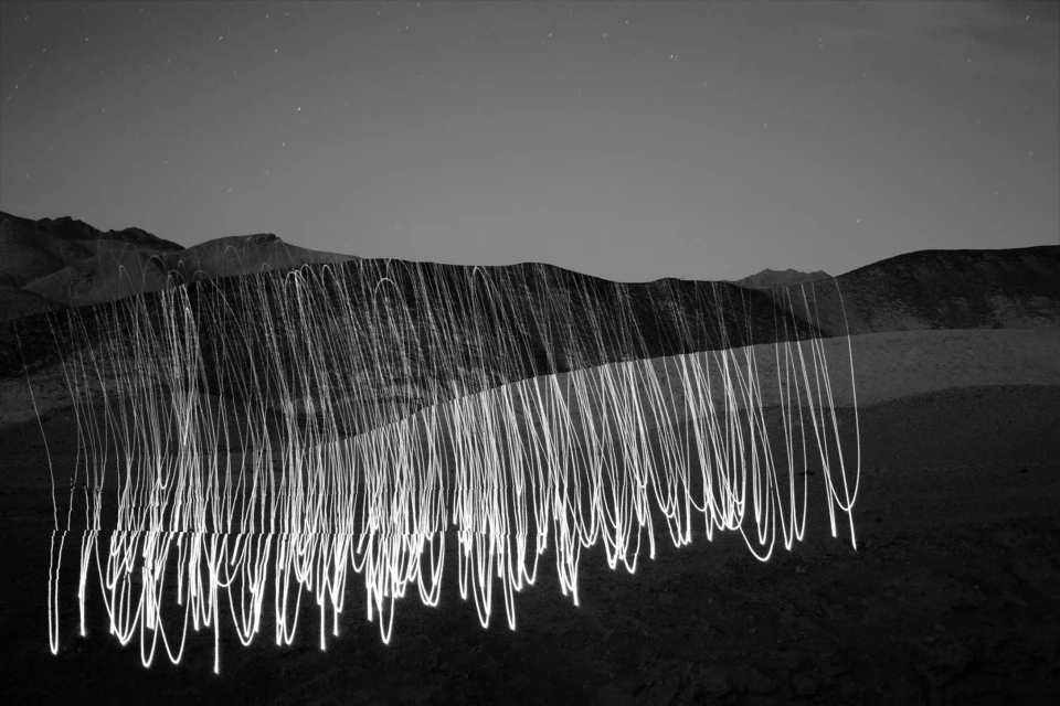 Candace Gelman & Associates