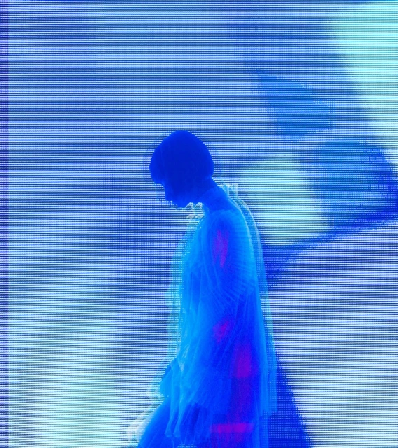 Candace Gelman & Associates