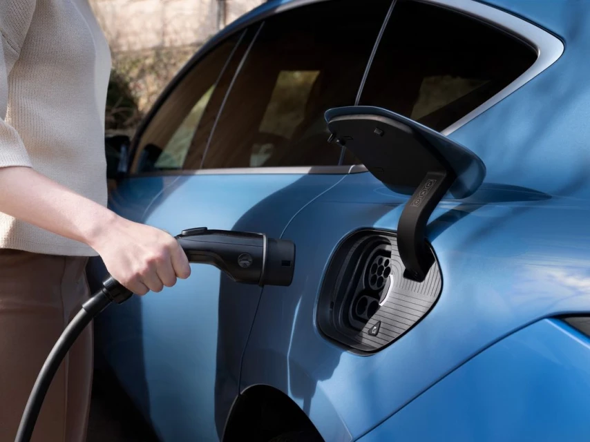 Candace Gelman & Associates