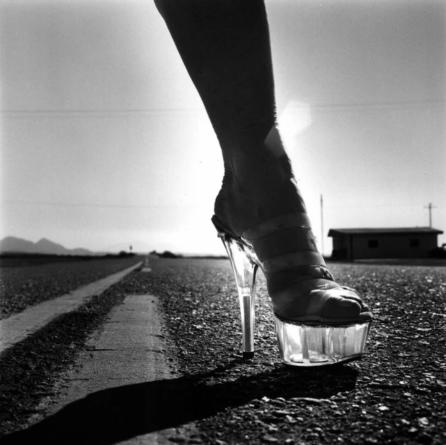 Timothy White