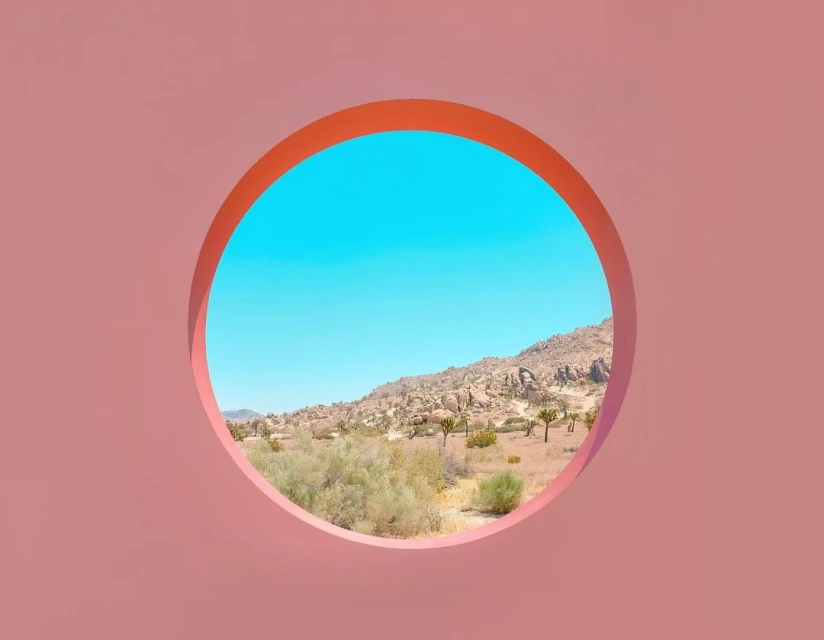 Alyssa Pizer Management