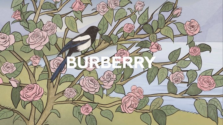 &orange Motion Design