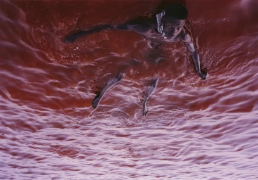 Camilla Lowther Management