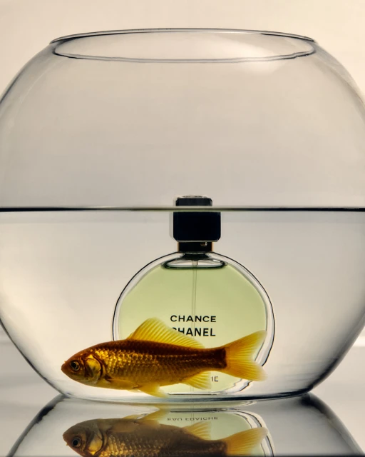 Eduard Sánchez Ribot