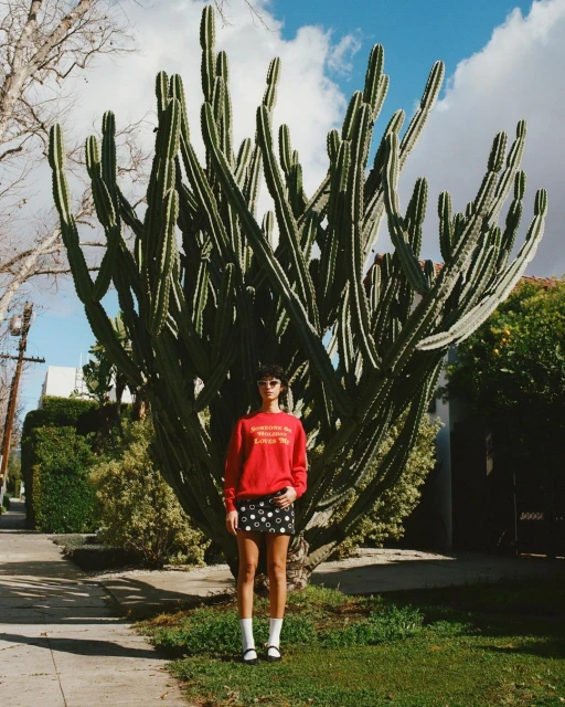 Daria Kobayashi Ritch