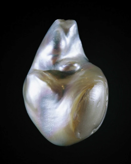 Rita Puig-serra Costa