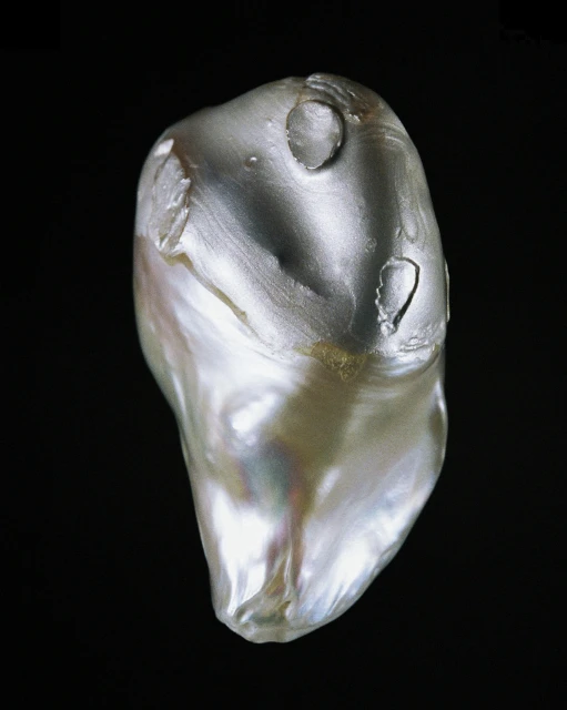 Rita Puig-serra Costa