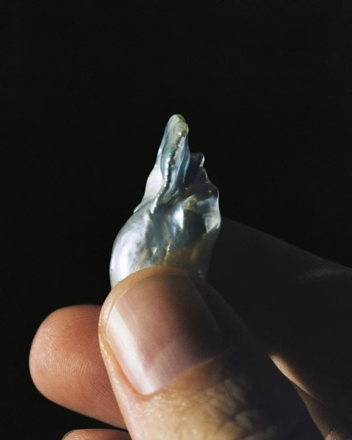 Rita Puig-serra Costa